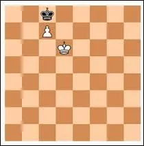 Sur la photo c'est au noir  jouer. Leur seul coup possible leur fait perdre la partie. Comment appelle-t-on ce coup qui entrane la perte ?