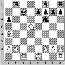 Sur la photo comment appelle-t-on l'chec que le roi noir subit ?