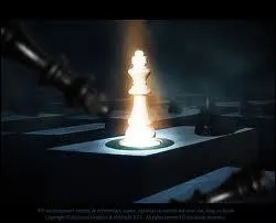 Comment s'appelle le roi rest seul, sans pions et autres pices.