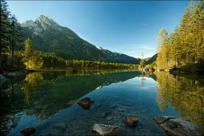 Regardez cet endroit magnifique, l'endroit idal pour ramasser des hutres !