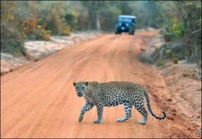 Ca coule de source, ce flin-ci est forcment ...