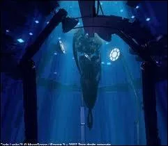 Pourquoi, dans l'pisode 70 (Skidbladnir), Jrmie et Aelita ont du mal  aller  l'usine ?