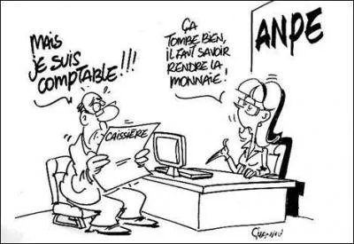 Comment s'appelle le fait qu'à partir des années 80, de plus en plus l'emploi garanti à vie est remplacé par une très grande mobilité dans les postes et les carrières ?