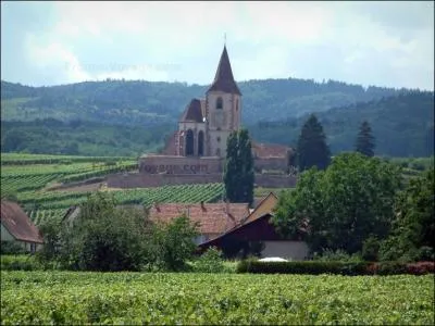 La ville constitue galement l'intersection entre la Route des Vins d'Alsace et la Route Verte, appele ainsi car entoure de sapins. Elle consiste  :