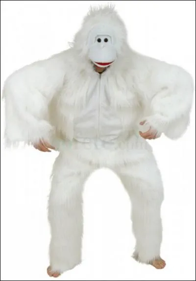 Il n'y a que lui pour survivre dans un froid aussi abominable !