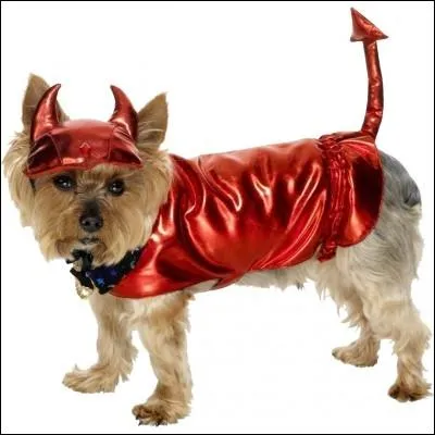 Comment s'appelle le démon dans le film "L'exorciste" ?