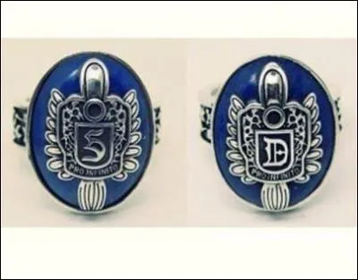 Pourquoi certains vampires portent-ils des bijoux (collier, bracelet... ), ressemblant  ces deux bagues ?