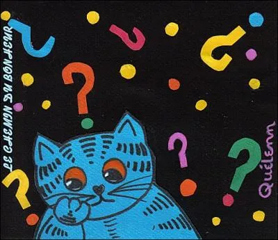 O vivait la tribu Eri, connue galement sous le nom de  Nation du Chat  ?