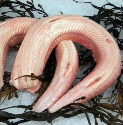 Quand il arrive dans votre assiette il s'appelle  saumonette . Quelle espce de poisson est le chat de mer ?