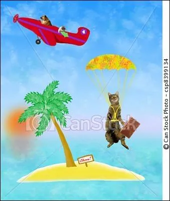 L'le du Chat est une le franaise du golfe du Morbihan. Mais ne la cherchez pas en Bretagne. Cette le fait partie de l'archipel :