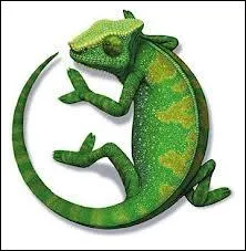 Je suis un lzard arboricole insectivore. J'ai la proprit d'harmoniser ma coloration avec celle du milieu o je vis. Je suis un :