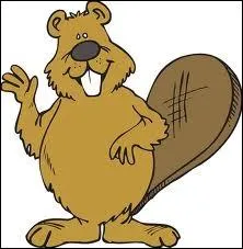 Je suis un mammifre rongeur de l'Amrique du Nord et d'Europe,  pattes postrieures palmes et  queue aplatie. Je suis un :