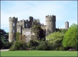 Que s'est-il pass en Irlande entre 1845 et 1851 ?