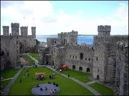Que peut-on voir sur le drapeau du Pays de Galles ?