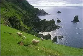 L'archipel des Shetland fait partie des Îles britanniques.