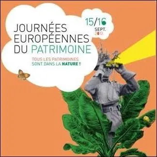 Quel organisme institue en 1991  Les journes europennes du Patrimoine  ?