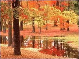 Quels sont les articles qu'on met en automne ?