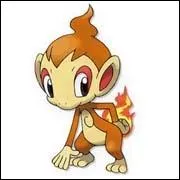 Comment s'appelle ce Pokmon ?