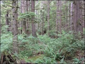 Dans quelle bourgade habite le pre de Bella ?