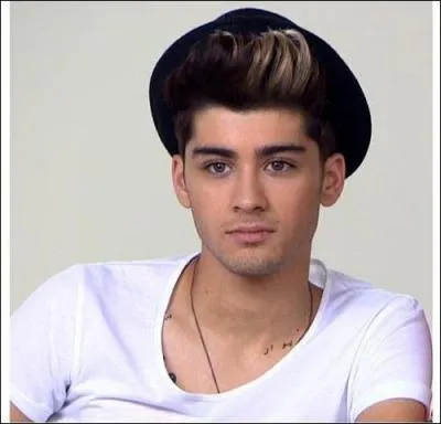 Quelle est la date de naissance de Zayn ?