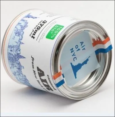 Pour finir, je n'ai pas pu trouver plus inutile ! Qu'est-ce que c'est ?