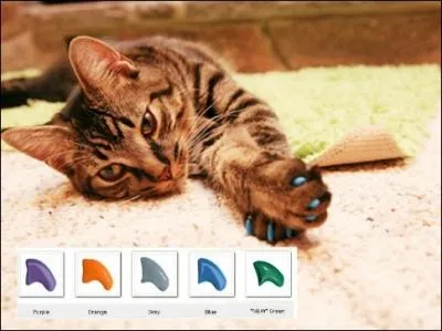 Attention, je vous prviens. Si quelqu'un achte vraiment a, je dclare cette personne officiellement folle de son chat ! Et je parle bien sr ...