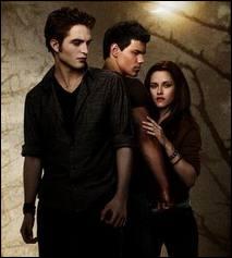 Comment s'appelle le chapitre 3 de  Twilight  ?