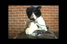 Il a dj vendu 18 millions de CD. En 2011, il est lu meilleur DJ du monde par le classement TOP100 du magazine britannique DJ Mag.