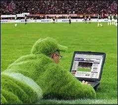 Animal caractris par la mobilit indpendante de ses yeux, sa langue protractile, ses doigts groups en deux blocs opposables et sa capacit  changer de couleur.