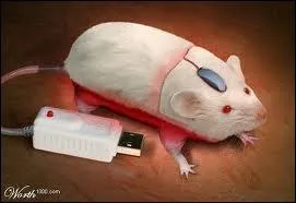 Accessoire indispensable pour  piloter  un ordinateur.