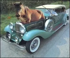 Combien de chevaux dans une Ferrari 599 ?