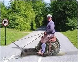 Aller trs lentement.