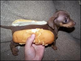 Comment se traduit  dog  dans  Hot Dog  ?