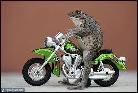 Qui a crit la chanson  Harley Davidson  chante par B. Bardot ?