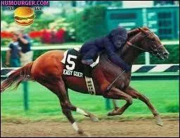 Circuit de courses de trot en France. Vincennes ou Longchamp en sont deux clbres. Je suis ...