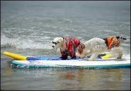 Clbre chanson des Beach Boys tire de l'album ponyme.