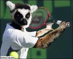 Joueur de tennis suisse qui a gagn cinq fois de suite deux tournois du Grand Chelem (le tournoi de Wimbledon et l'US Open).