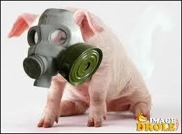 Les flatulences des bovins sont une source importante de gaz  effet de serre. Une vache peut produire jusqu' combien de litres de mthane par jour ?