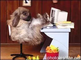 La pause cigarette nuit gravement  la productivit des entreprises, en moyenne 60  80 minutes par jour. Mais pour quel cot ?