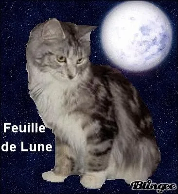 Qui est Feuille de Lune ?