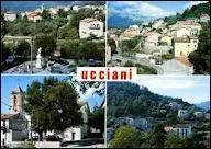 Je quitte la Corse et je vous envoie une carte postale d'Ucciani. Quel est le nom des habitants de cette commune ?