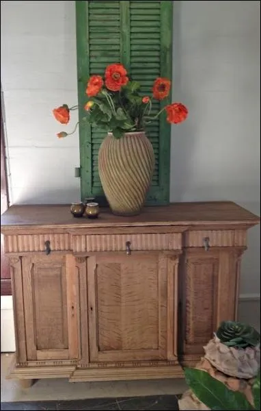 La mise en valeur de ces fleurs se fait ici sur la photographie par le contraste entre leur teinte orange et le vert du volet. Ce sont des... ?