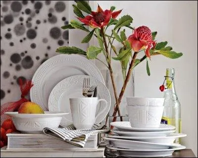 Quelle est cette fleur trs originale, originaire d'Afrique du Sud dont elle est la fleur emblme ?