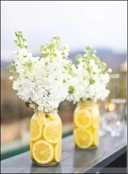 Tout le charme de ces bouquets provient du contraste entre les fleurs blanches coupes court et les citrons placs dans le vase. Quel est le nom des fleurs ?