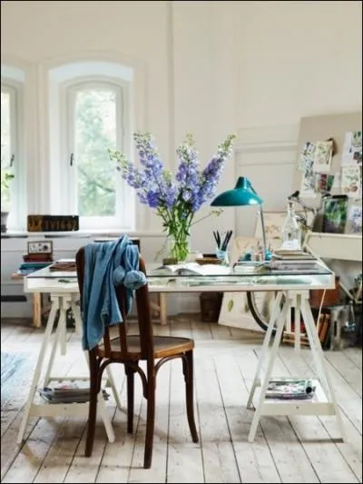 Sur ce bureau, ces superbes fleurs bleues en grappe,  la couleur puissante et lumineuse, sont des... ?