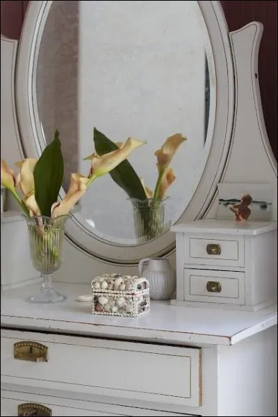 Mises en valeur par les meubles blancs lumineux et le miroir dans lequel le bouquet se reflte, ces fleurs si dlicatement oranges sont des... ?