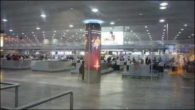 Une Smirnoff glace ou une Stolichnaya bien frappe vous tentent, autant remonter aux sources, prenez l'avion et dbarquez  l'aroport Sheremetyevo  ...