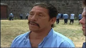 Quel est ce film o joue Danny Trejo ?