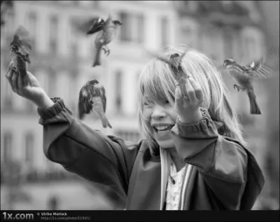 Vous les reconnaissez ? Ce sont des tourneaux sansonnets !