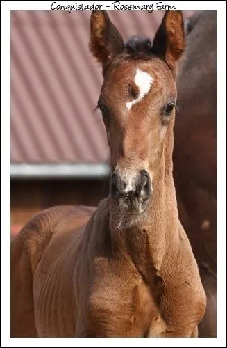 Chaque anne on voit l'enregistrement d'environ 118 000 nouvelles naissances !